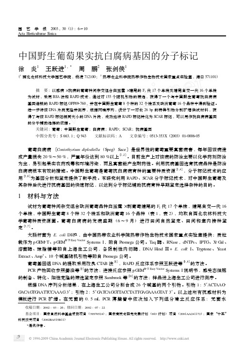 中国野生葡萄果实抗白腐病基因的分子标记