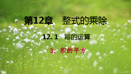 八年级数学上册第1212.1幂的运算3积的乘方导学课件6