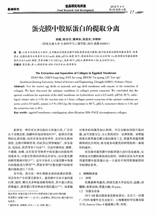 蛋壳膜中胶原蛋白的提取分离