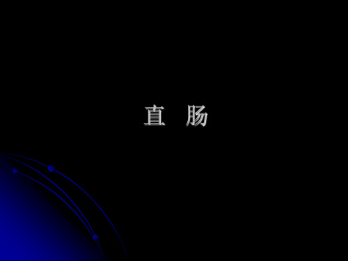 直肠肛管解剖讲解培训课件