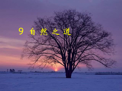 60《自然之道》精品PPT课件