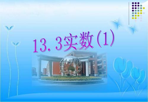新课标人教版八年级上册数学课件 13.3实数(1)课件