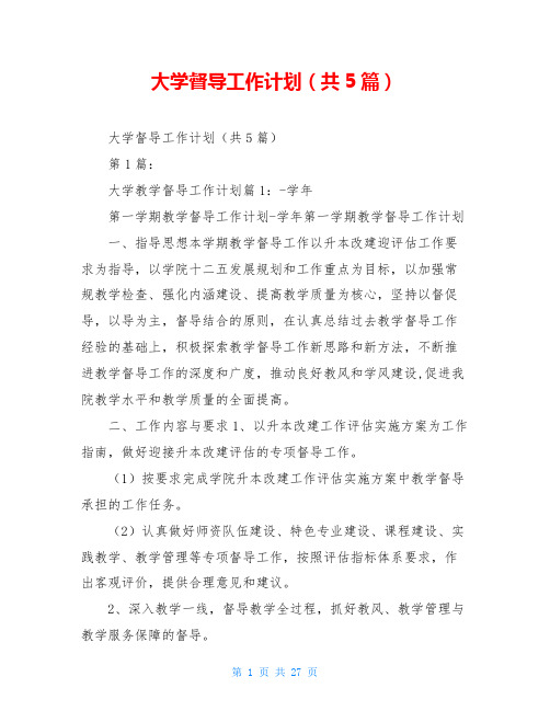 大学督导工作计划(共5篇)