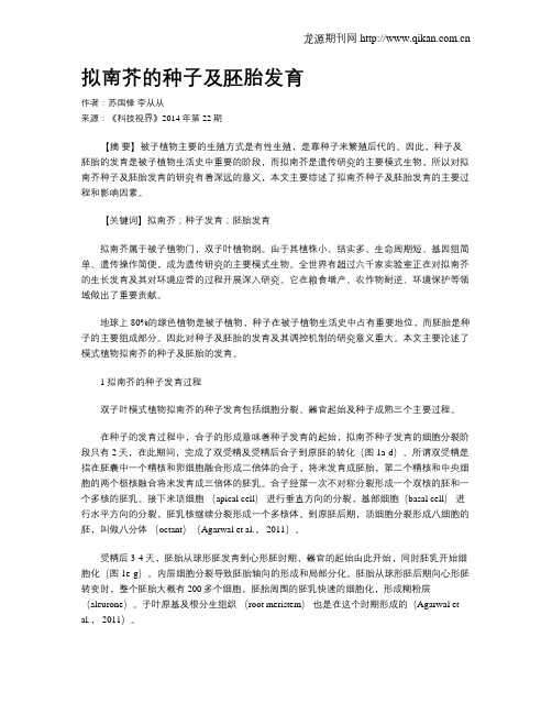 拟南芥的种子及胚胎发育