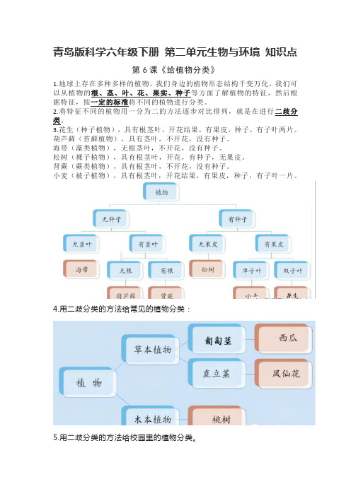 青岛版科学六年级下册 第二单元生物与环境 知识点