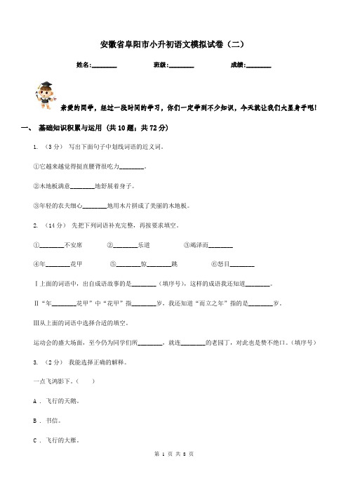 安徽省阜阳市小升初语文模拟试卷(二)