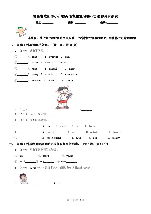 陕西省咸阳市小升初英语专题复习卷(六)形容词和副词