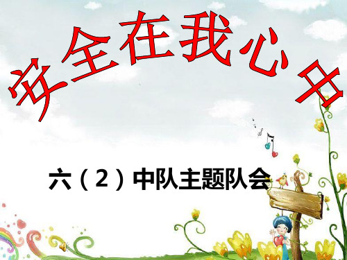 安全在我心中主题班会ppt课件