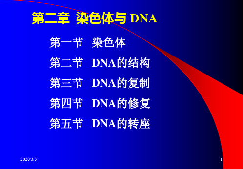 (精品)大学分子生物学经典课件第二章染色体与DNA