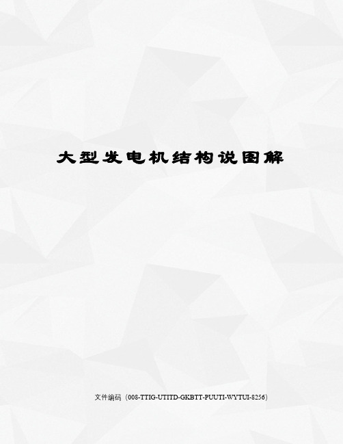 大型发电机结构说图解