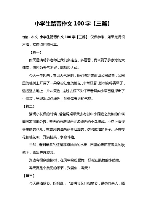 小学生踏青作文100字【三篇】
