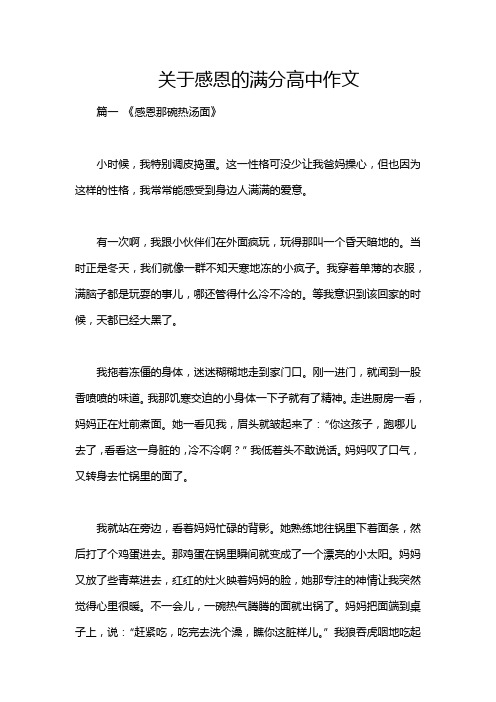 关于感恩的满分高中作文