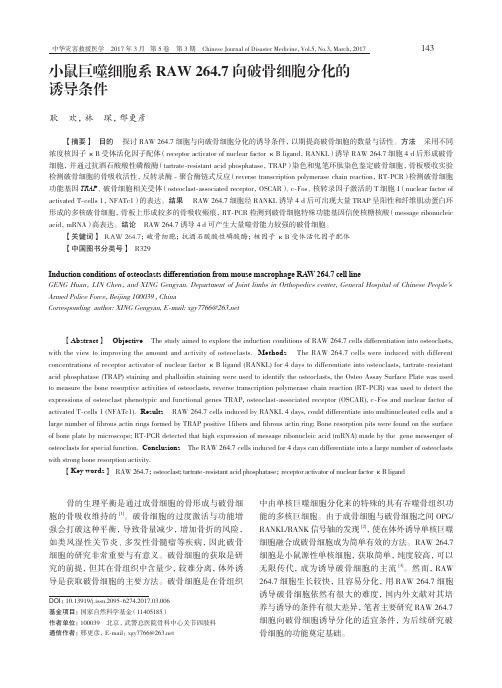 小鼠巨噬细胞系RAW264.7向破骨细胞分化的诱导条件