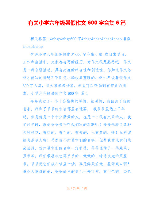 有关小学六年级暑假作文600字合集6篇