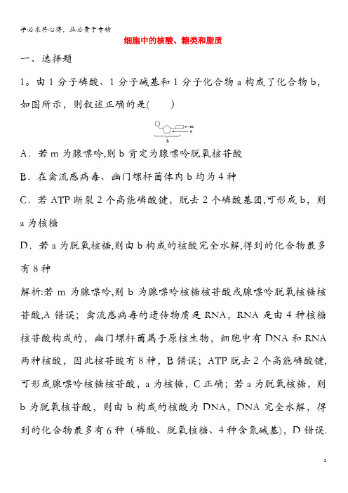 2020高考生物一轮总复习第1单元第4讲细胞中的核酸、糖类和脂质课时作业(含解析)