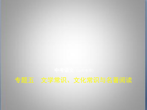 山东版中考语文专题五 文学常识、文化常识与名著阅读(试题部分)