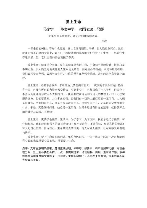 八7班征文