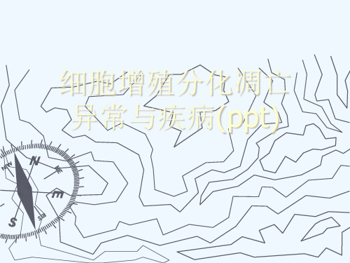 细胞增殖分化凋亡异常与疾病(ppt)