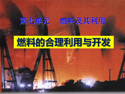 《燃料的合理利用与开发》燃料及其利用PPT课件6