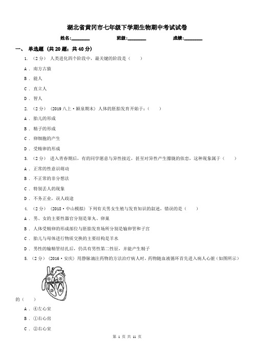 湖北省黄冈市七年级下学期生物期中考试试卷
