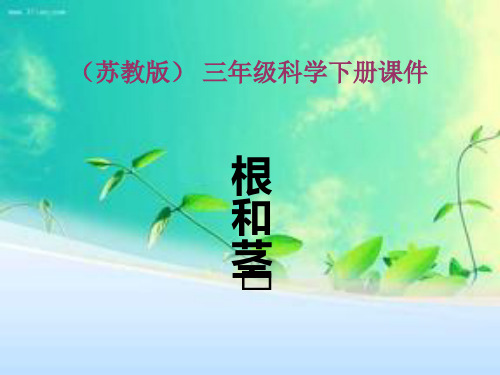 苏教版科学三年级下册2.根和茎 (2)