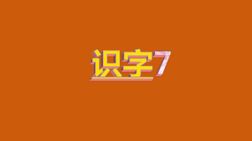 新苏教版二年级语文下册《字  识字7 礻 衤 宀 穴》优质课课件_2