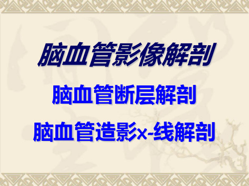 《脑血管影像解剖》PPT课件