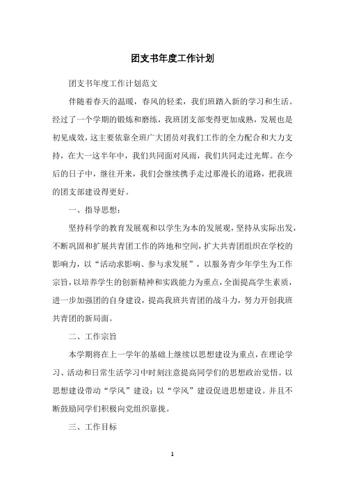团支书年度工作计划