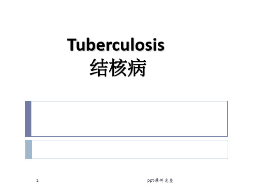 病理学--结核病ppt课件