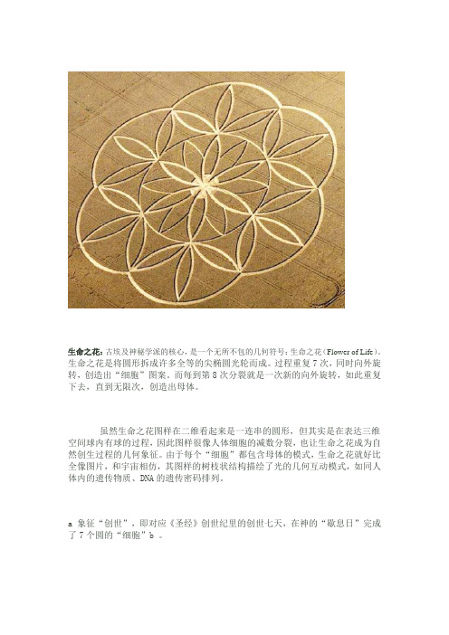麦田圈中的神圣几何学(四)—— 生命之花