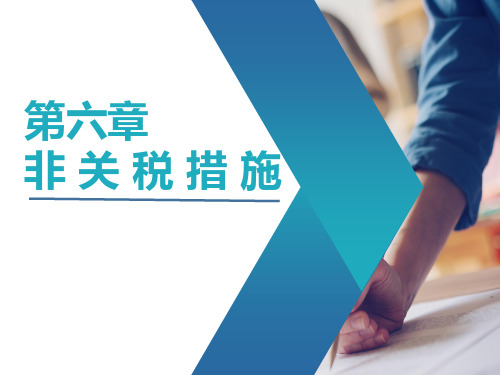 第六章 非关税措施