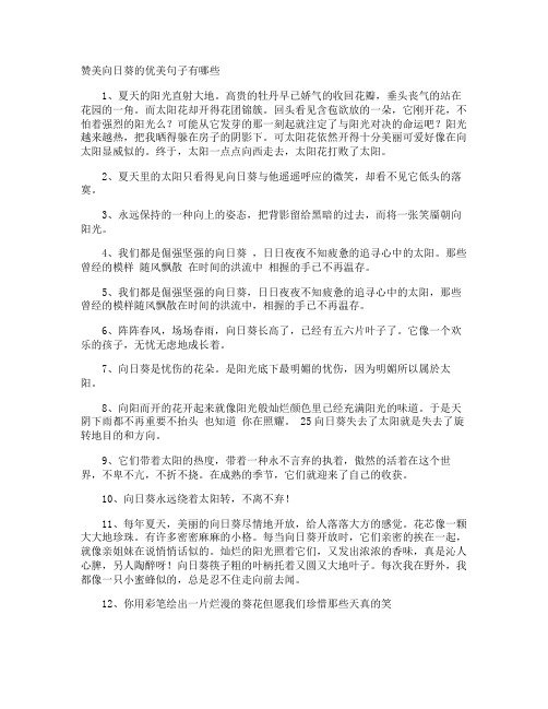 赞美向日葵的优美句子有哪些