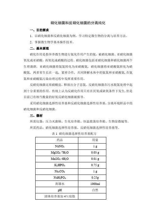 高级环境微生物学实验