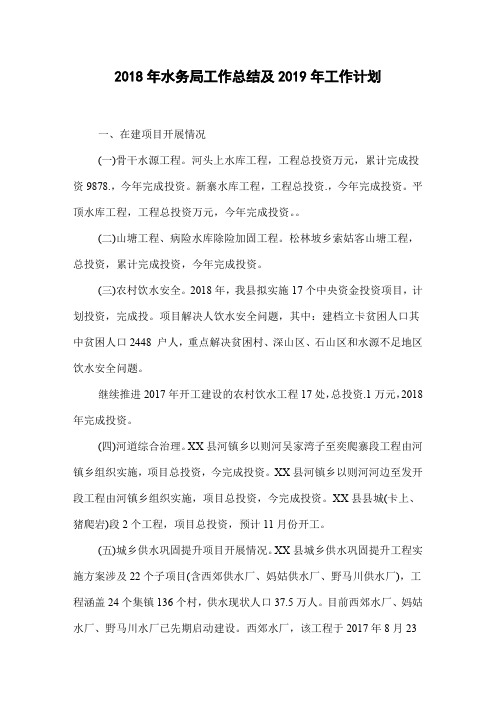 2018年水务局工作总结及2019年工作计划