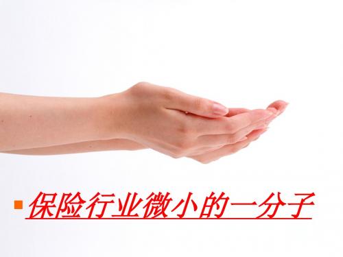 保险公司培训：绩优人员管理