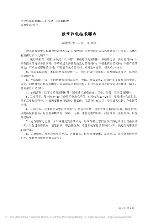 秋季养兔技术要点