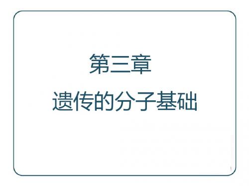 核酸是遗传物质的证据