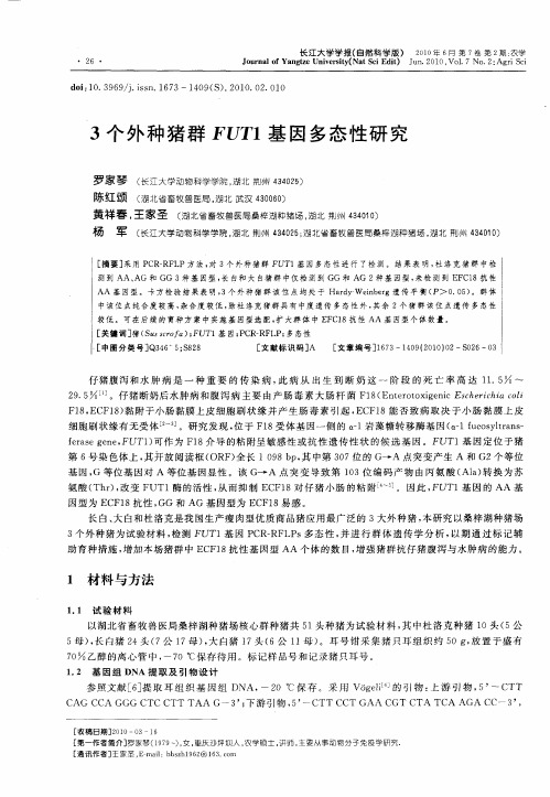 3个外种猪群FUT1基因多态性研究