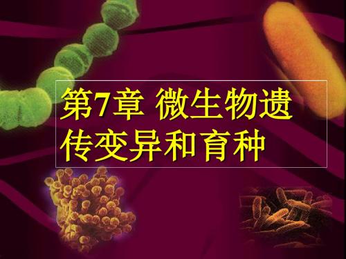 微生物课件第7章