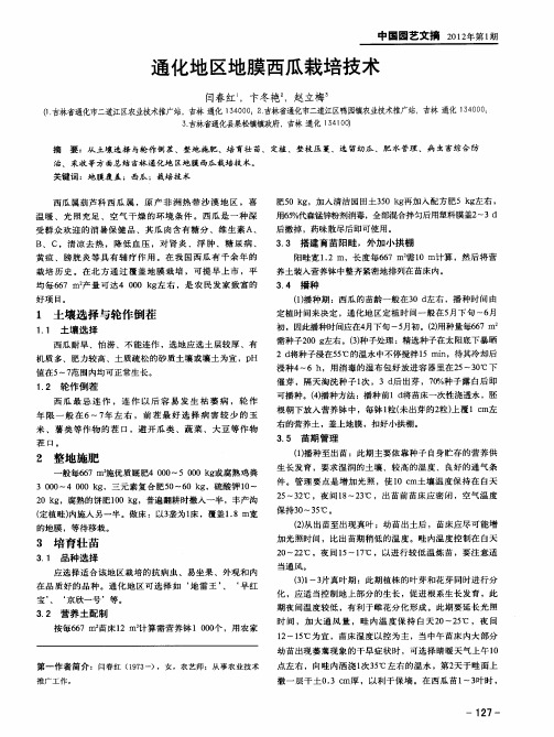 通化地区地膜西瓜栽培技术