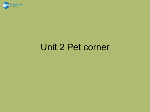 深港朗文版三年级下册Unit2、Pet、corner课件1