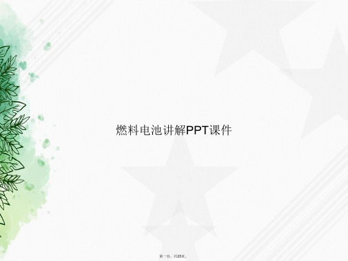 燃料电池讲解2讲课文档