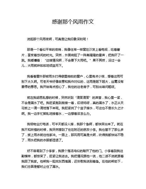 感谢那个风雨作文