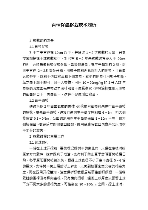 香樟保湿移栽技术浅析