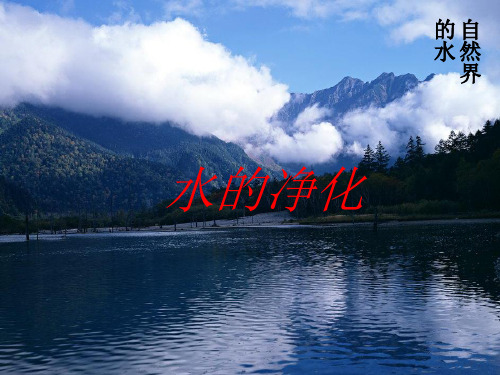 4.2化学上册水的净化ppt