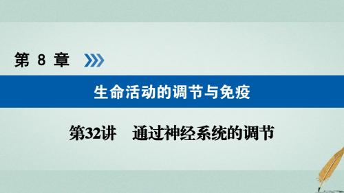 2019版高考生物大一轮复习第32讲通过神经系统的调节优选课件
