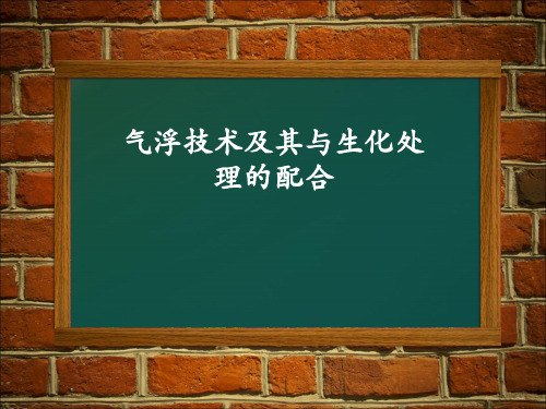 气浮技术及其与生化处理的配合