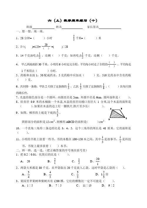六年级上册数学周末作业题(十)
