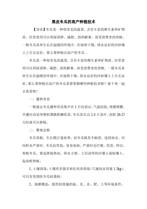 黑皮冬瓜的高产种植技术.doc