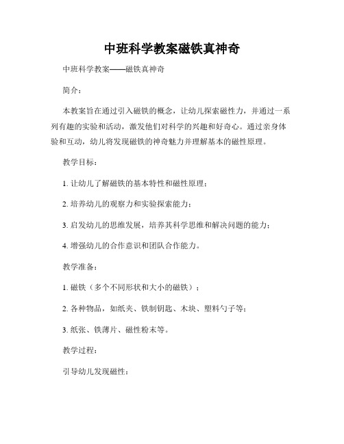 中班科学教案磁铁真神奇